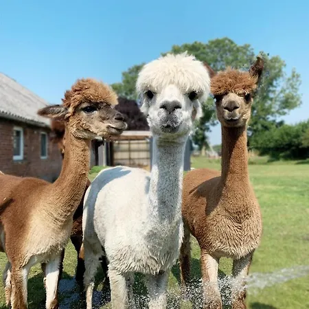 Kastanienhof Çiftlik konaklama *