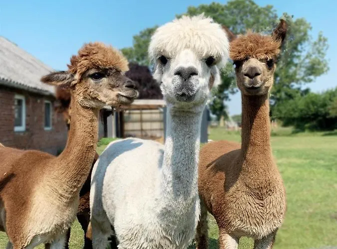 Kastanienhof Κατάλυμα σε φάρμα *